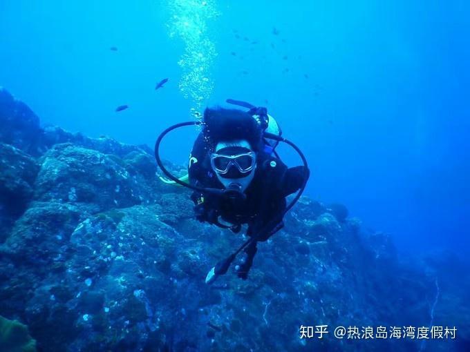 贪吃蛇生存